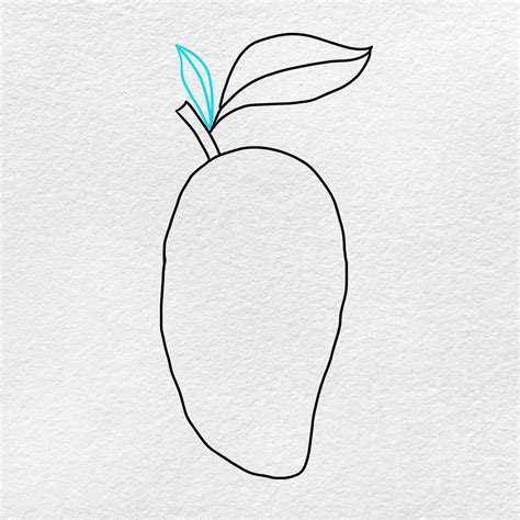 mango drawing 10
