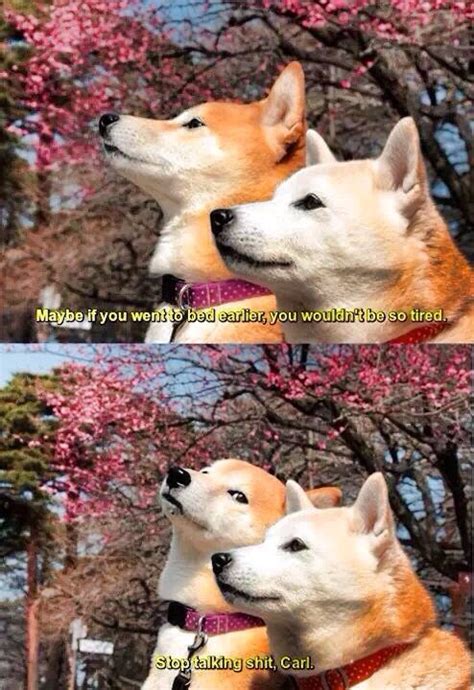 Fuck Off Carl R Funny