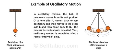 Types Of Motion In Physics With Examples Selftution