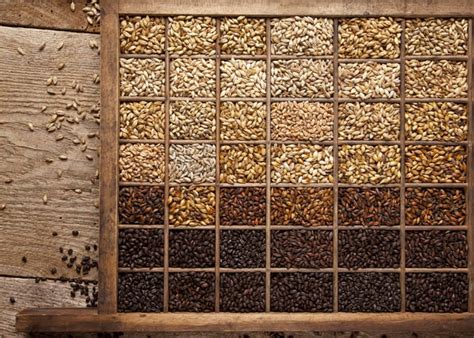 Malt Monitor Briess Releases Blonde Roastoat Enjoy This Test Recipe