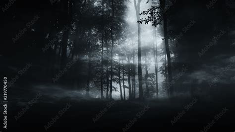 dark mysterious woods background Stock Photo | Adobe Stock