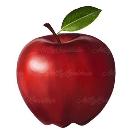 apple png apple clipart digital  etsy