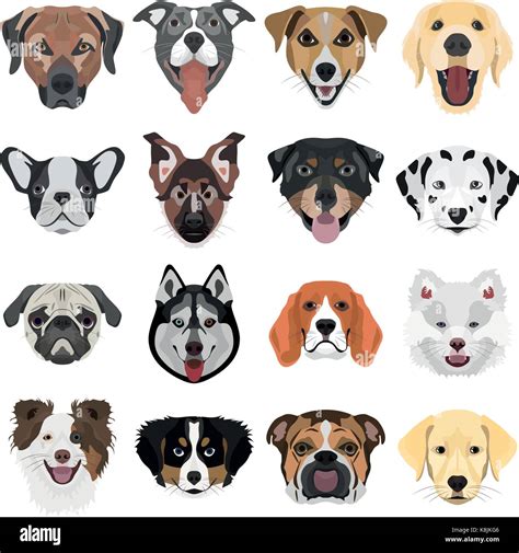 illustration collection dogs   creative   graphic design