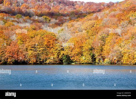 Beautiful Autumn Landscape At Tsuta Onsen Hot Spring With Blue Pool Aomori Japan Asia Stock