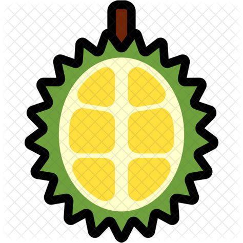 Durian Icon Download In Colored Outline Style