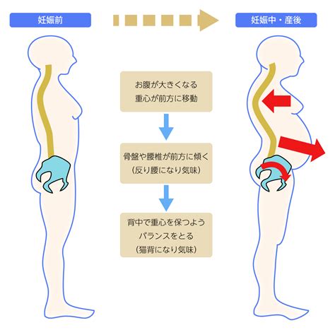 産後骨盤ケアについて 産前産後ケア専門院 整体ママミニョン