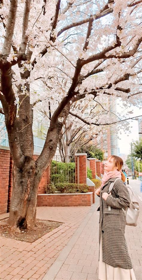 小孫さくら🌸こまごさくら On Twitter 今日さくらの日だからお花見してきた🌸🌸 さくらの日