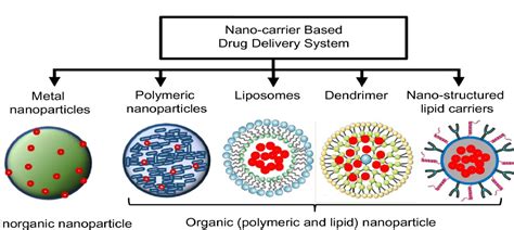 figure  classification  nanocarrier based drug delivery