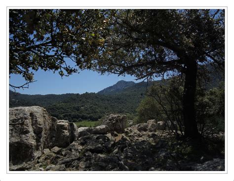 lluc foto bild europe balearic islands spain bilder auf fotocommunity