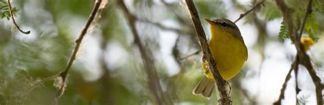 Aberdeen, WA | Official Website