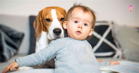 How To Avoid Energy Bill Shock This Winter For Happy Baby
