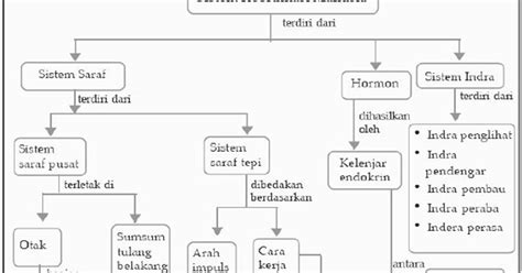 Peta Konsep Sistem Koordinasi Manusia Pustaka Pandani
