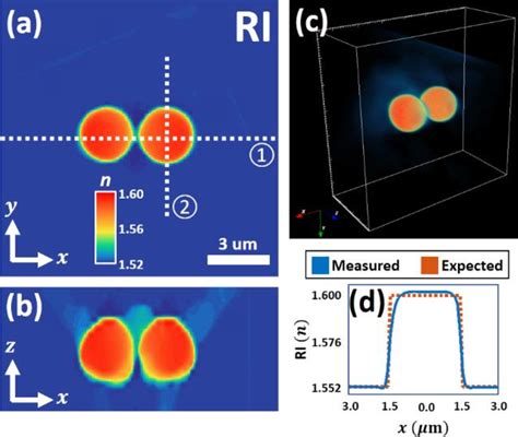 Figure 2 From High Resolution 3D Refractive Index Microscopy Of