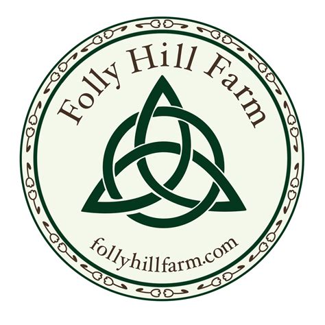 Folly Meaning In Hindi 3