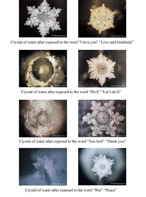 The True Power Of Water By Masaru Emoto Adobe Ourlasopa