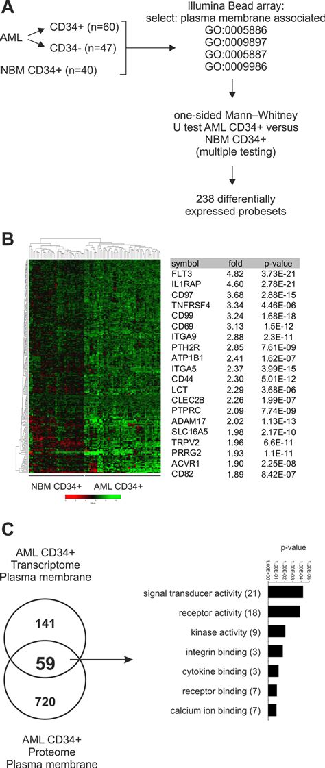 Identification Of Leukemic Stem Cell Markers Using A Transcriptomics