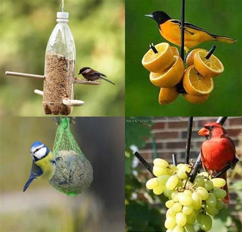 Homemade Bird Feeders Easy