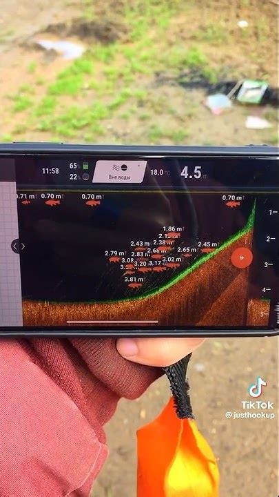 «Круглый» всегда выручает! #эхолот #рыбалка #карась - YouTube