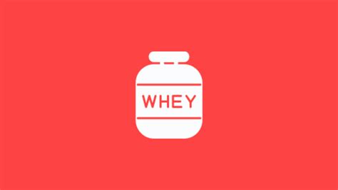 Como Tomar Whey Protein Para Ganhar Massa Muscular Guia Completo E