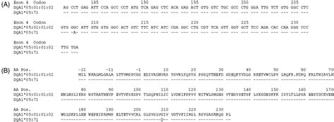 A Alignment Of The Exon 4 Nucleotide Sequence Of The Novel DQA1 05 71