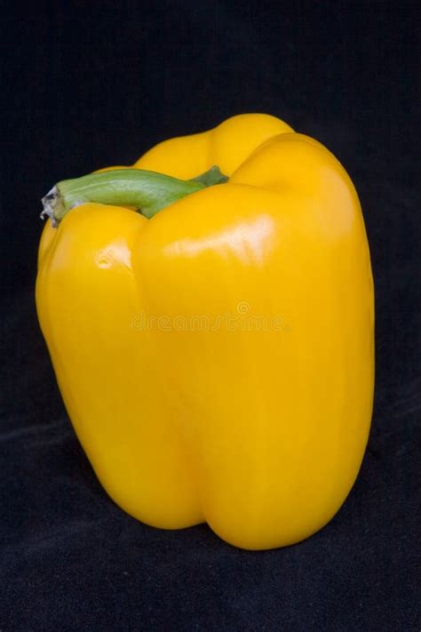 yellow bell pepper stock photo image  kitchen bell