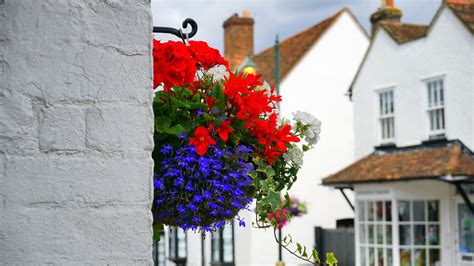 5 Attractive Tips for Beautiful Flower Shop Exterior Design | Entrepreneurs Break