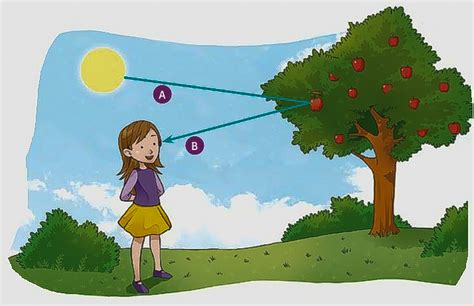 Toa Naturaleza Propiedades De La Luz La Reflexi N