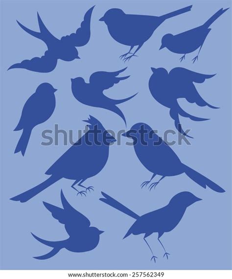 Vector Set Bird Silhouettes Stock Vector Royalty Free