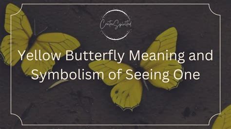 Yellow Butterfly Meaning and Symbolism of Seeing One