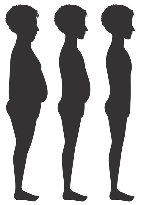 human body silhouette  vector art   downloads