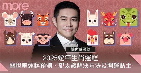 蘇民峰2025蛇年運程｜12生肖完整運程分析！犯太歲4生肖開運秘訣