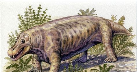 Джонкерия | Пикабу