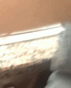 Braless Sweet Tits Sex Gifs Porn Xxx Gifs Pictoa