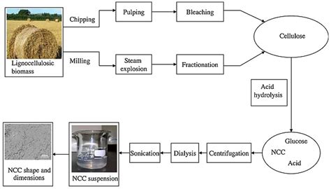 Polymers Free Full Text A Review On Reinforcements And Additives In