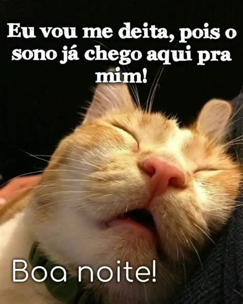 Imagens Engraçada De Boa Noite - 38 Imagens engraçadas de Boa noite grupo com Memes e Frases