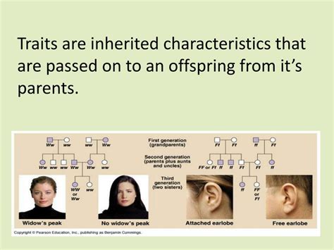 Ppt Reproduction Unit 2 Powerpoint Presentation Free Download Id