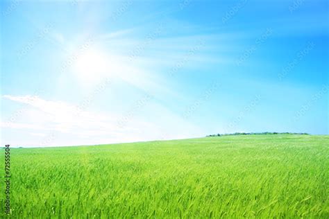 Foto Stock Prato Verde Con Cielo Azzurro E Raggi Di Sole Pianeta