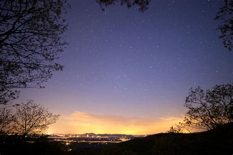 Free picture: purple sky, night sky, stars, night, summer, trees, clouds