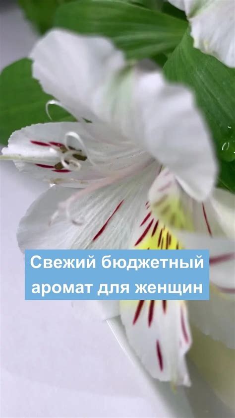 Купить духи женские Калдион от Хунка — туалетная вода и парфюм Hunca ...