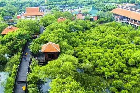 Jadi Kebun Raya Mangrove Pertama Di Indonesia Krm Gunung Anyar Akan