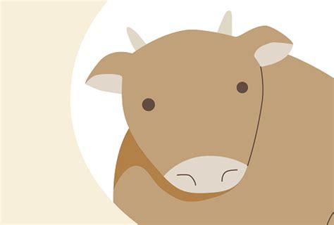 [90] Jersey cow Clipart Vector PNG , SVG, EPS, PSD, AI