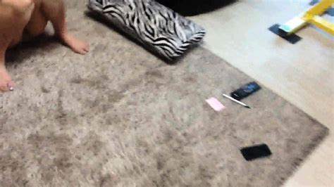 New Homemade Amateur Couple Sex