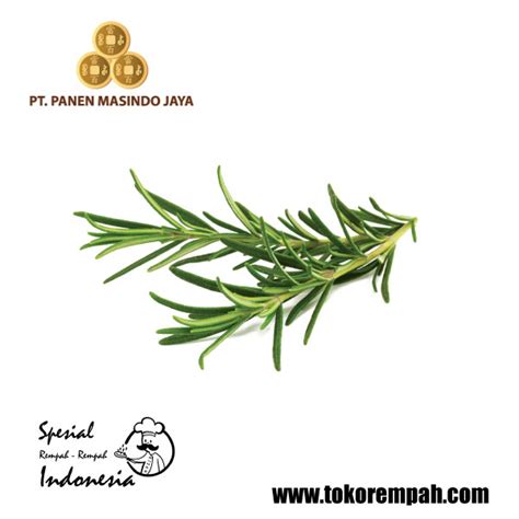 rosemary toko rempah