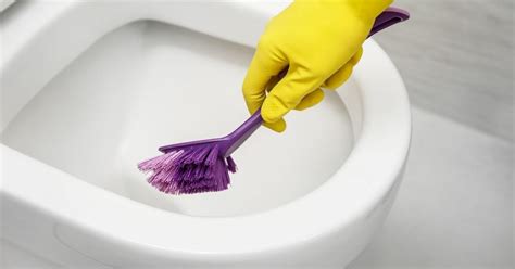 How To Use A Toilet Brush For Septic