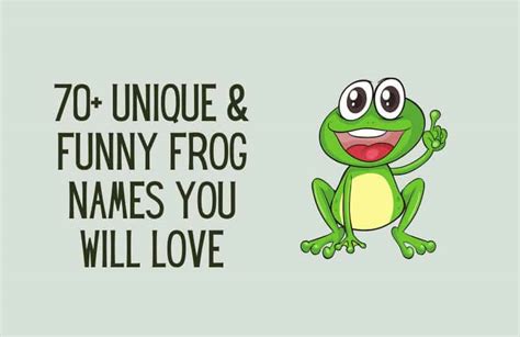 70 Unique And Funny Frog Names You Will Love Kids N Clicks