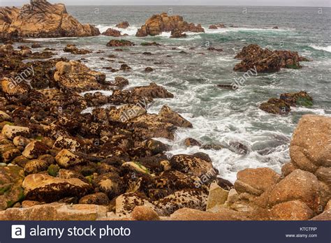 17 Mile Drive Is A Scenic Road Through Pebble Beach And Pacific Grove