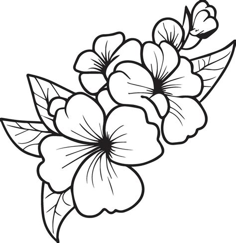 Outline print with blossoms primula flower, primrose bouquet leaves ...