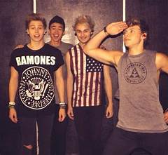 Members Of Five Seconds Of Summer