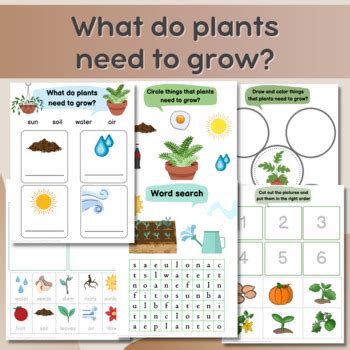 What do plants need to grow? by Portlandia Store | TPT