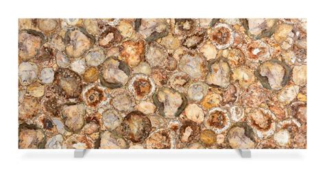 Petrified Wood - Valiant Surfaces